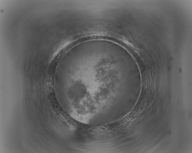 X0000074341255200609011619