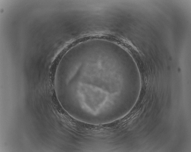 X0000074341256200609011619