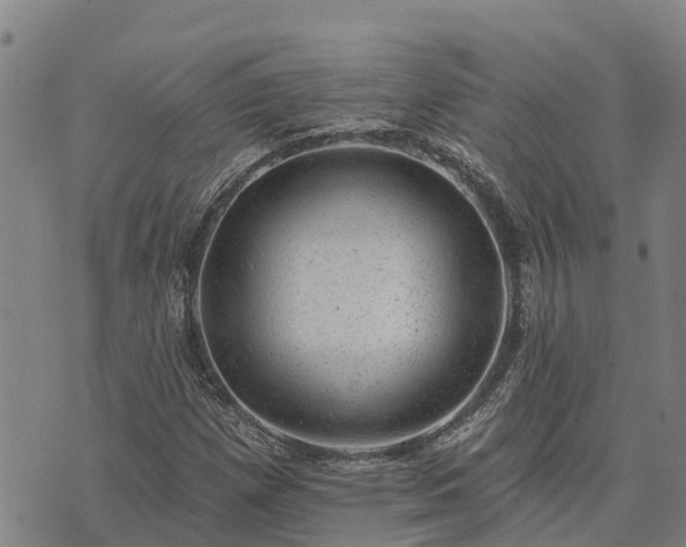 X0000074341257200609011619