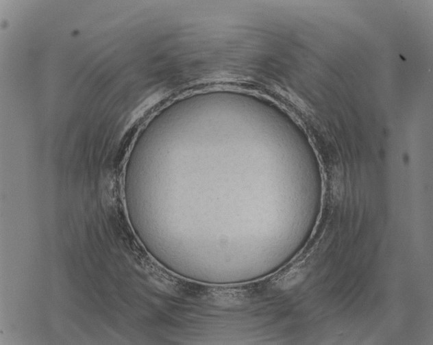 X0000074341258200609011619