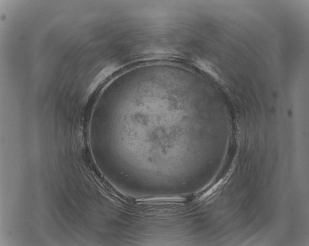 X0000074341259200609011619