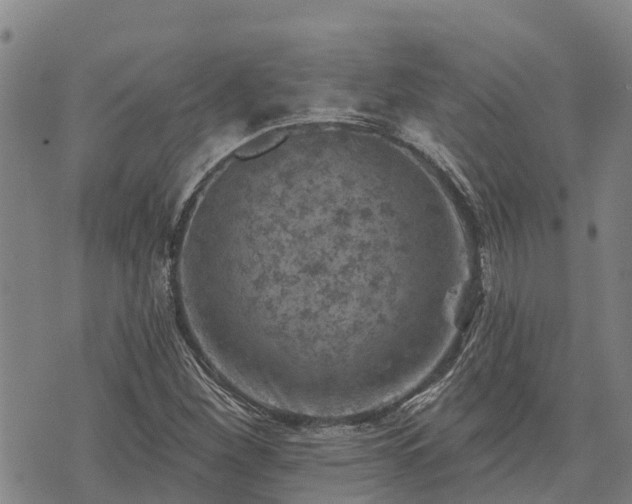 X0000074341260200609011619