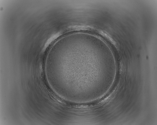 X0000074341261200609011619