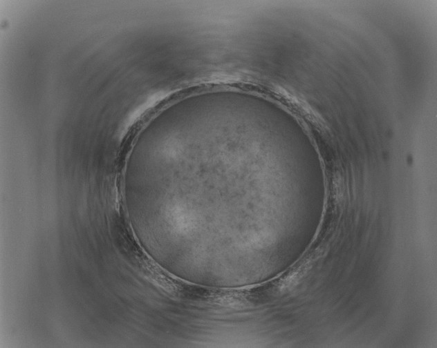 X0000074341262200609011619