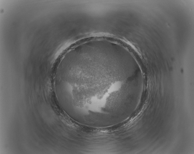 X0000074341263200609011619