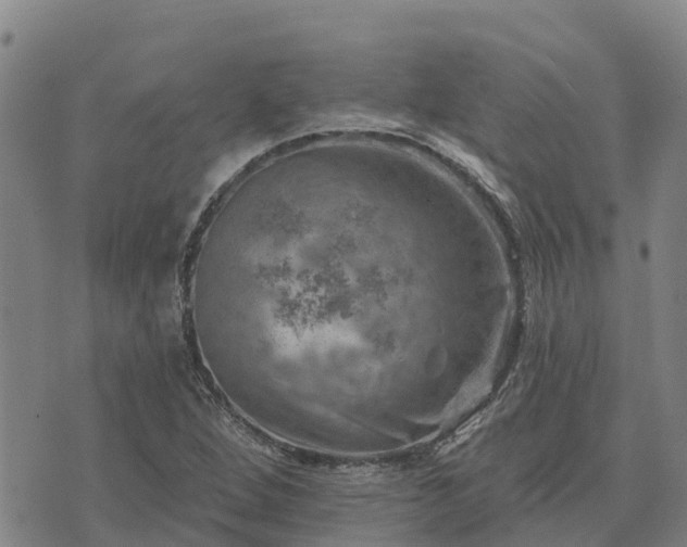 X0000074341264200609011619