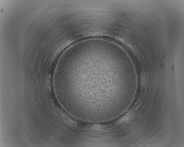 X0000074341265200609011619