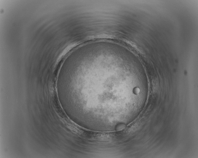 X0000074341266200609011619