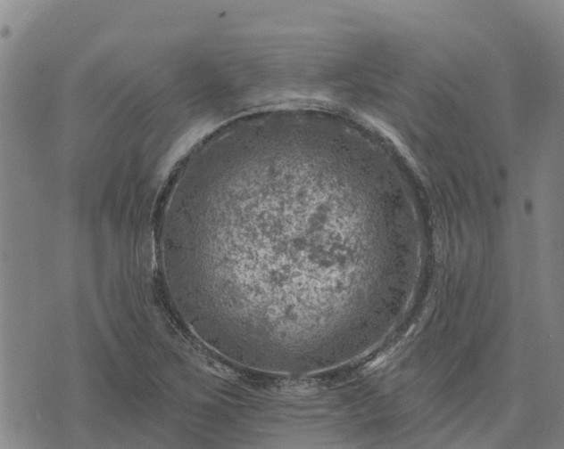 X0000074341267200609011619