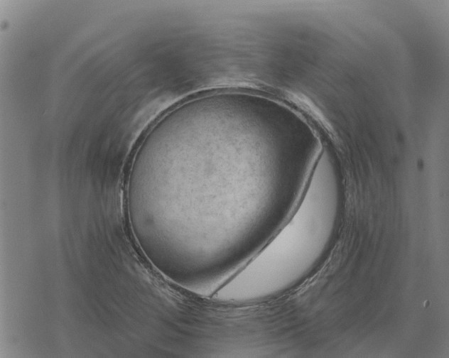 X0000074341268200609011619