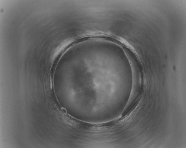 X0000074341269200609011619