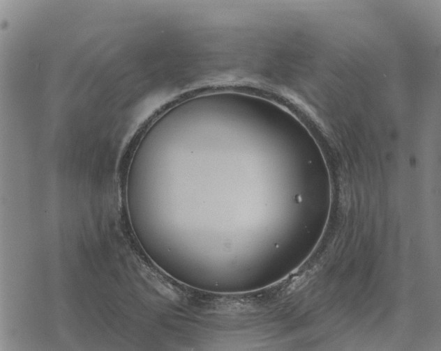 X0000074341270200609011619