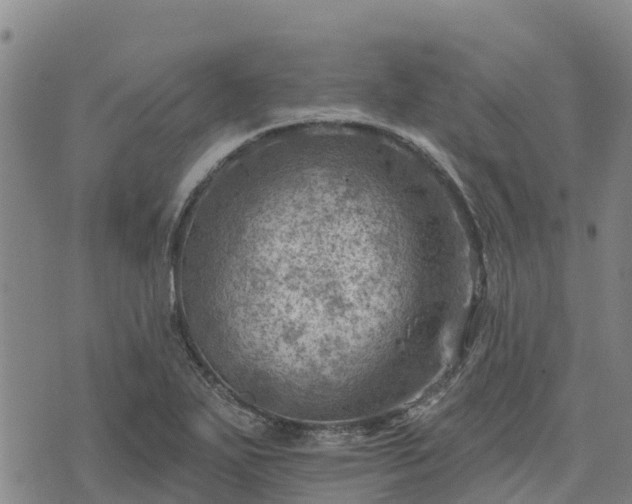 X0000074341271200609011619