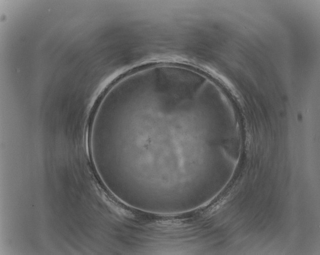 X0000074341272200609011619