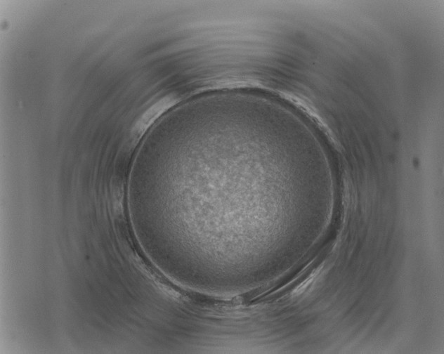 X0000074341273200609011619