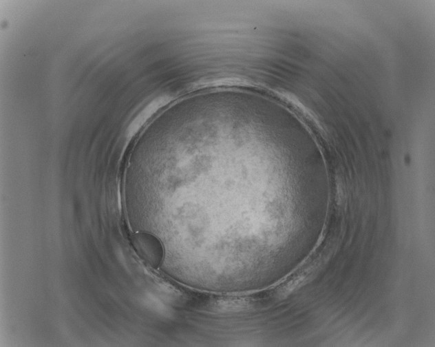 X0000074341274200609011619