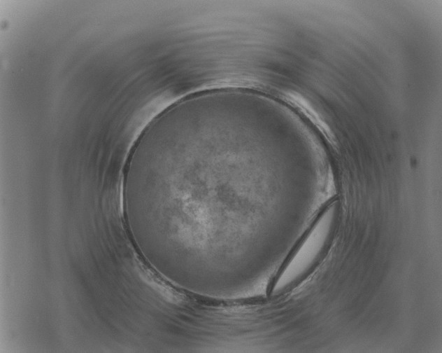 X0000074341276200609011619