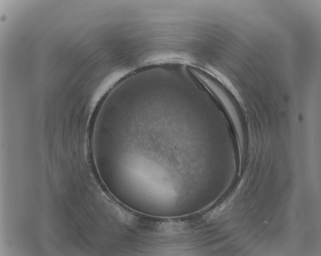 X0000074341277200609011619