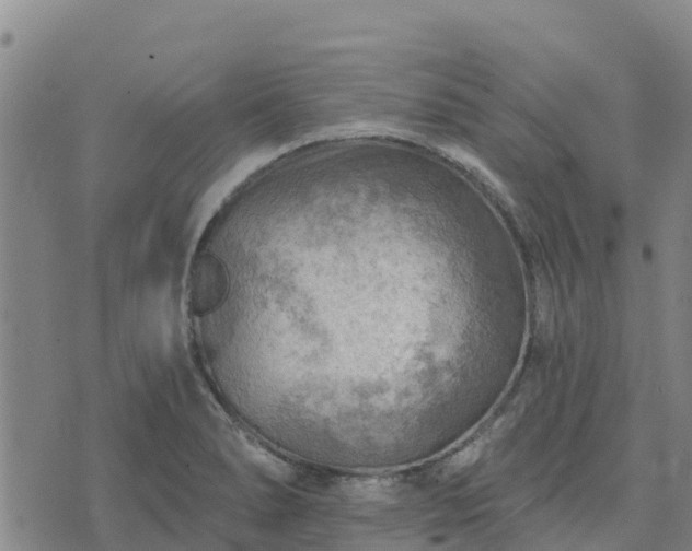 X0000074341278200609011619