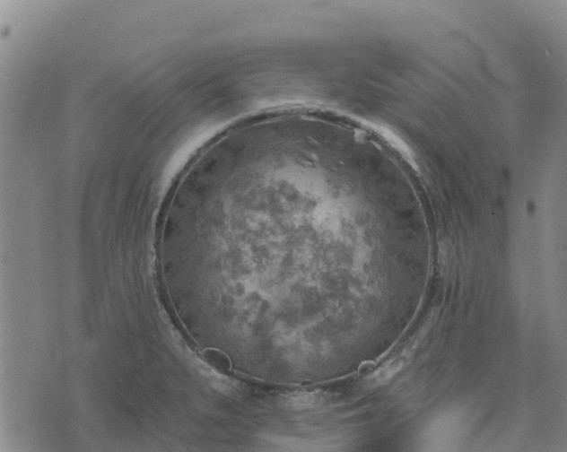 X0000074341279200609011619