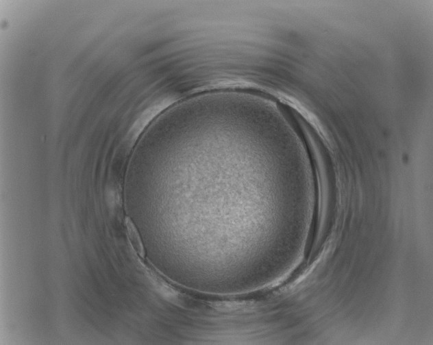 X0000074341281200609011619