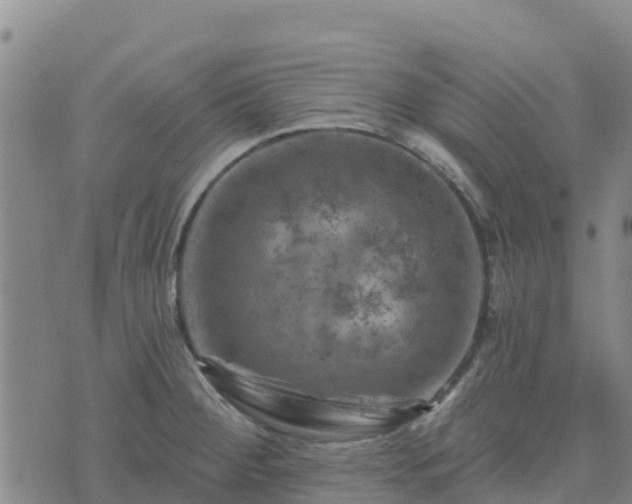 X0000074341284200609011618