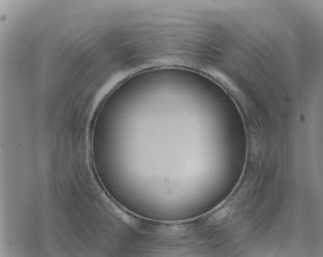 X0000074341286200609011618