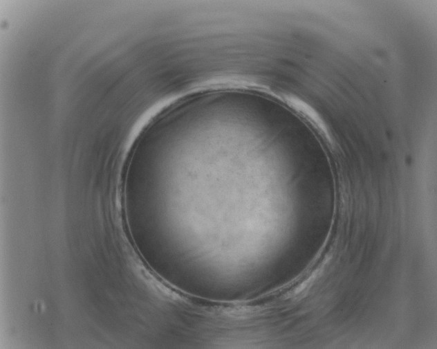 X0000074341288200609011618