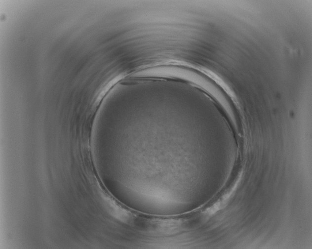 X0000074341289200609011618