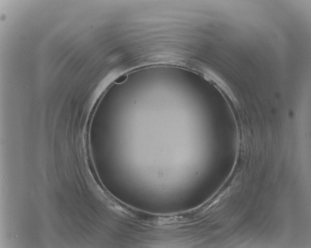 X0000074341291200609011618