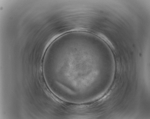 X0000074341292200609011618