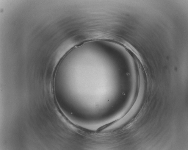 X0000074341293200609011618