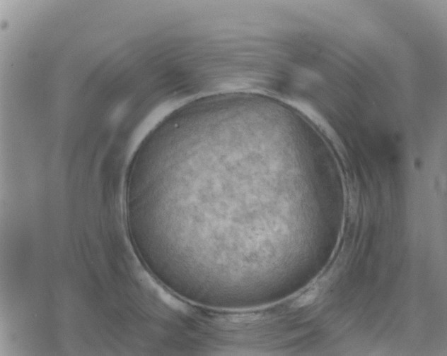 X0000074341294200609011618