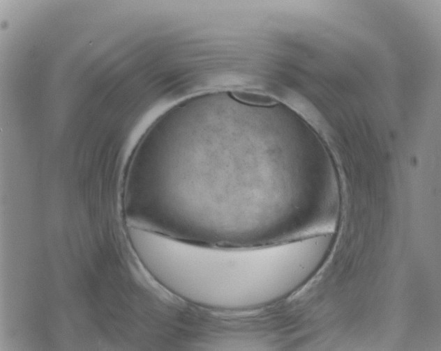 X0000074341296200609011618