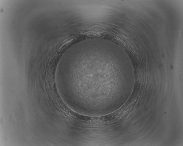 X0000074341297200609011618