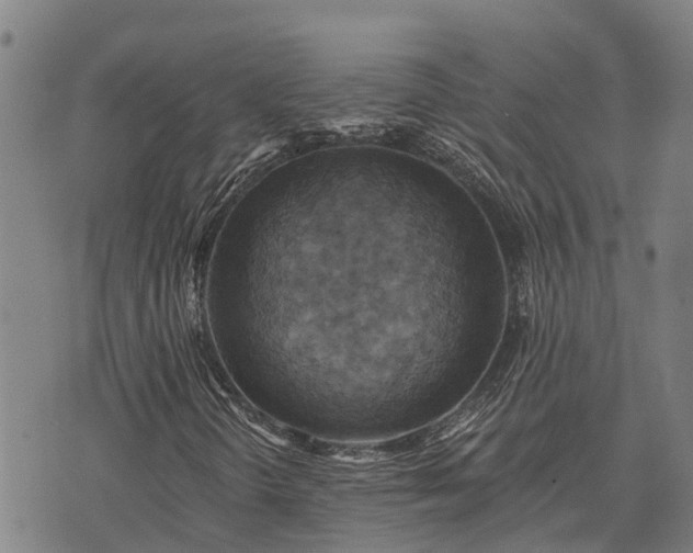 X0000074341298200609011618