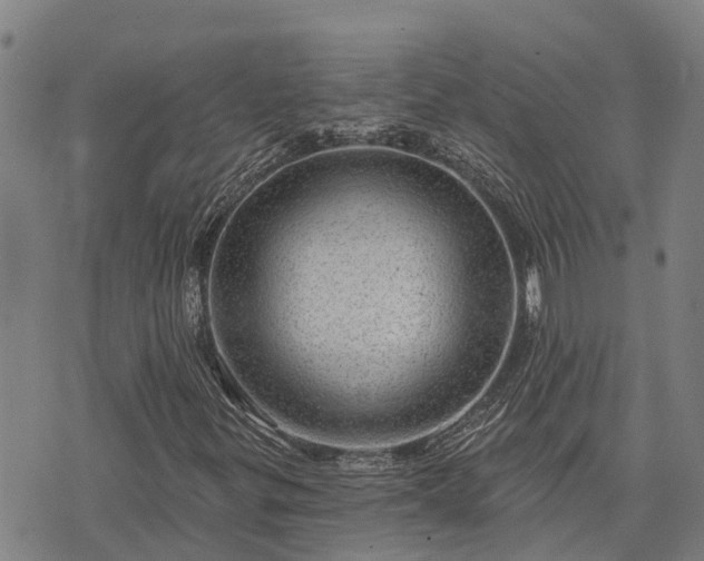 X0000074341299200609011618