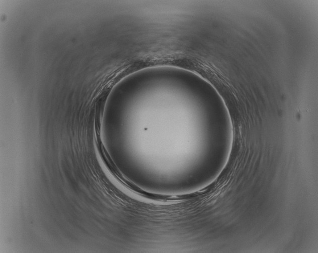 X0000074341300200609011618