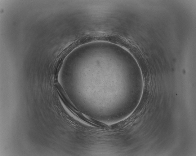 X0000074341301200609011618