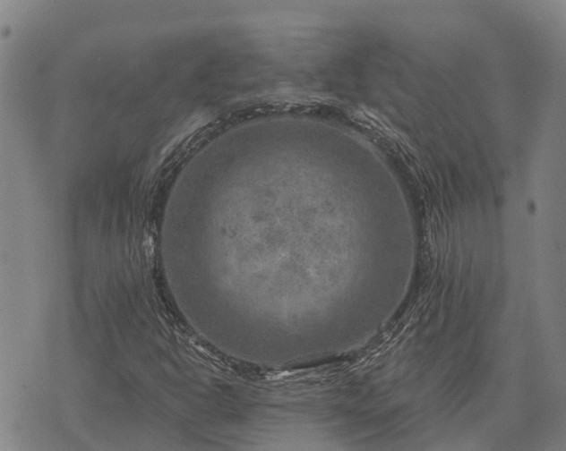 X0000074341302200609011618