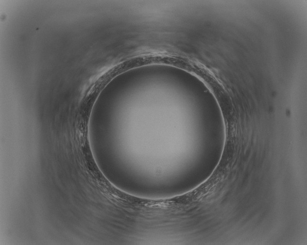 X0000074341303200609011618