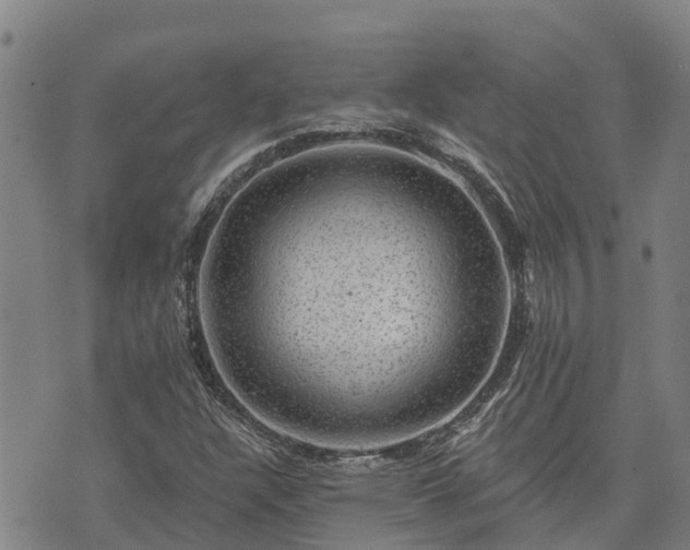 X0000074341304200609011618