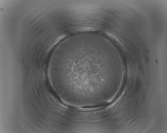 X0000074341305200609011618