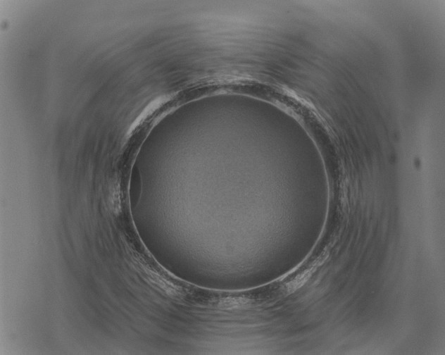 X0000074341306200609011618