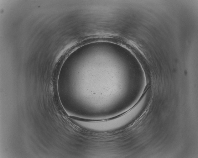 X0000074341307200609011618