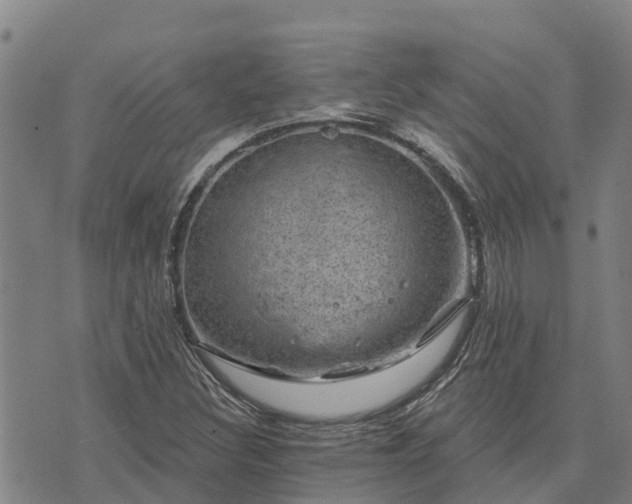 X0000074341308200609011618