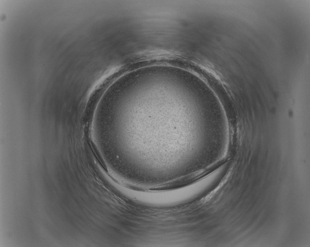 X0000074341309200609011618