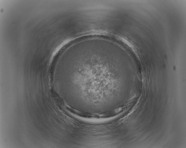 X0000074341310200609011618