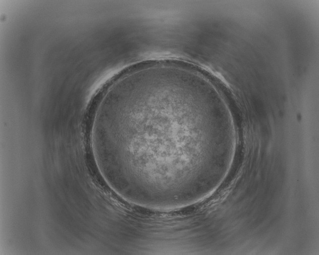 X0000074341311200609011618