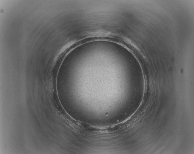 X0000074341315200609011618